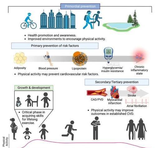 管用, 研究数据明
