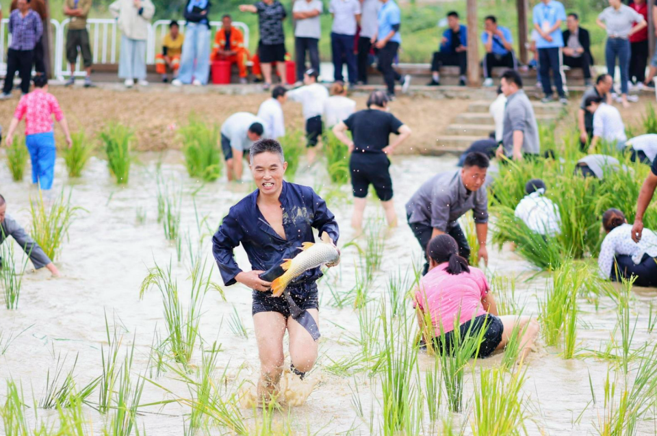 车水抗旱, uOSb, 参赛选手在 车水抗旱, uOSb, 参赛选手在