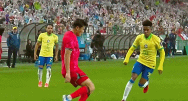 巴西队各入 巴西队各入